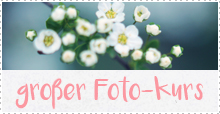 Großer Fotokurs