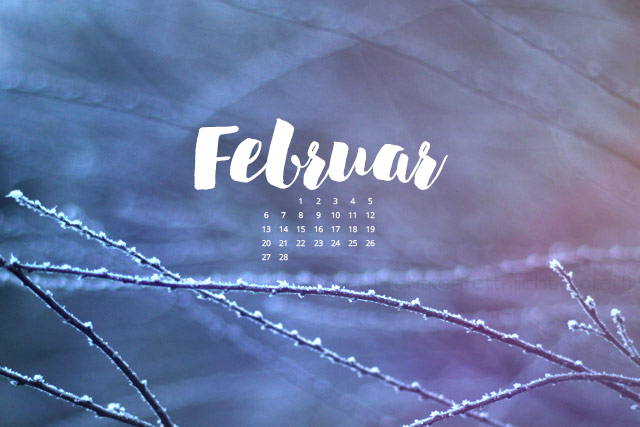 free Wallpaper Februar 2017 - Winter Frost blau