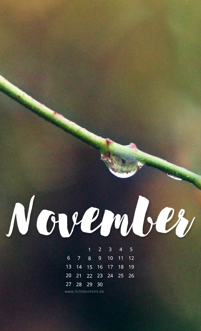 free Wallpaper November 2017 iPhone - Herbst Regen