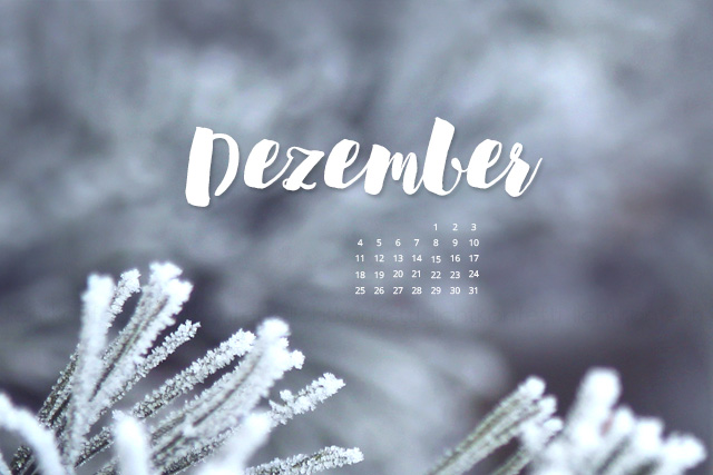 free Wallpaper Dezember 2017 - Winter Frost